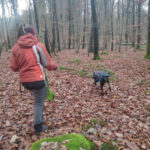 1D8D2907-03B8-431C-882E-78E4481E6AFA