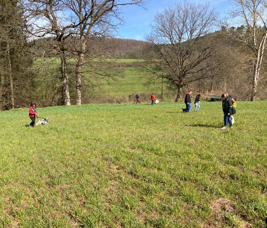 Chasse aux friandises éducation k'nine 2023