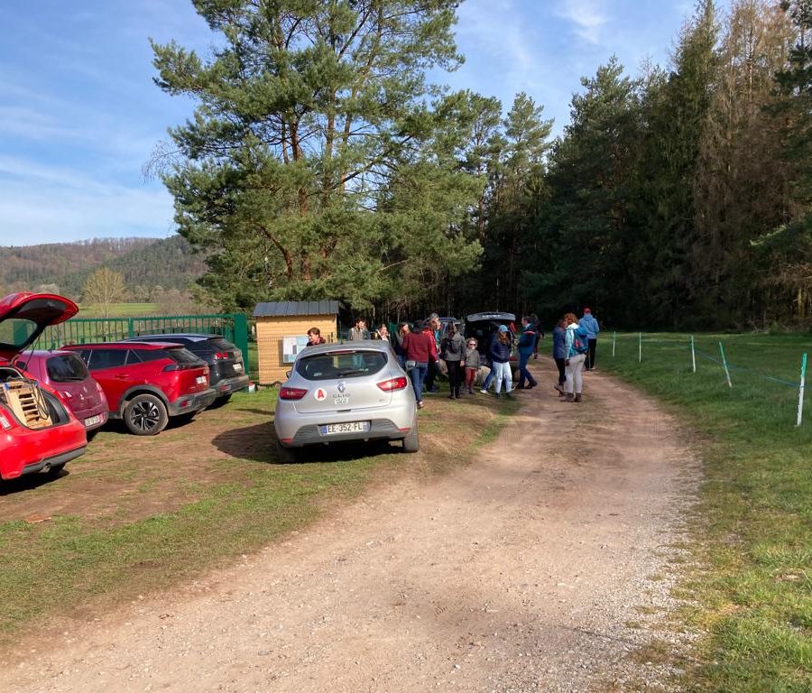 Chasse aux friandises éducation k'nine 2023