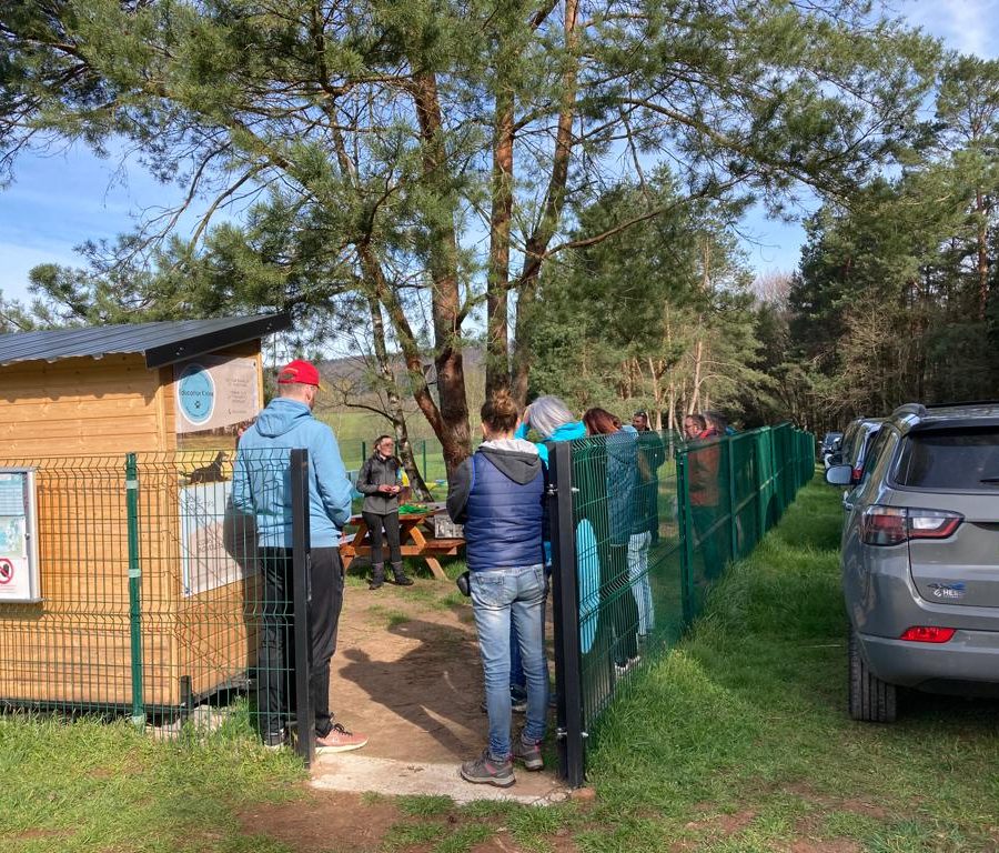 Chasse aux friandises éducation k'nine 2023