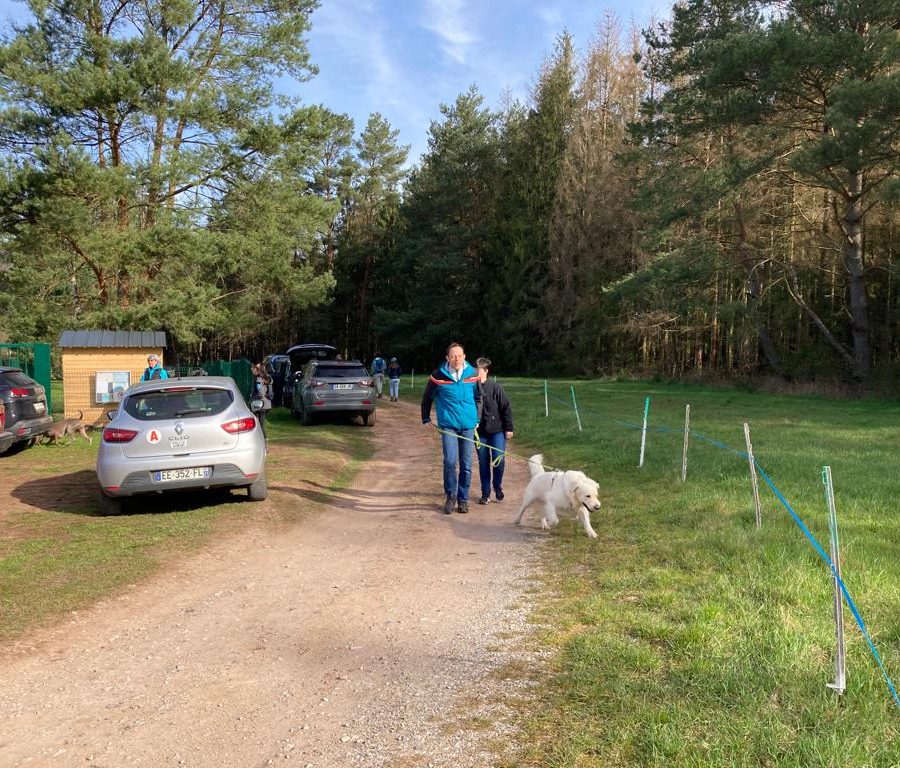 Chasse aux friandises éducation k'nine 2023