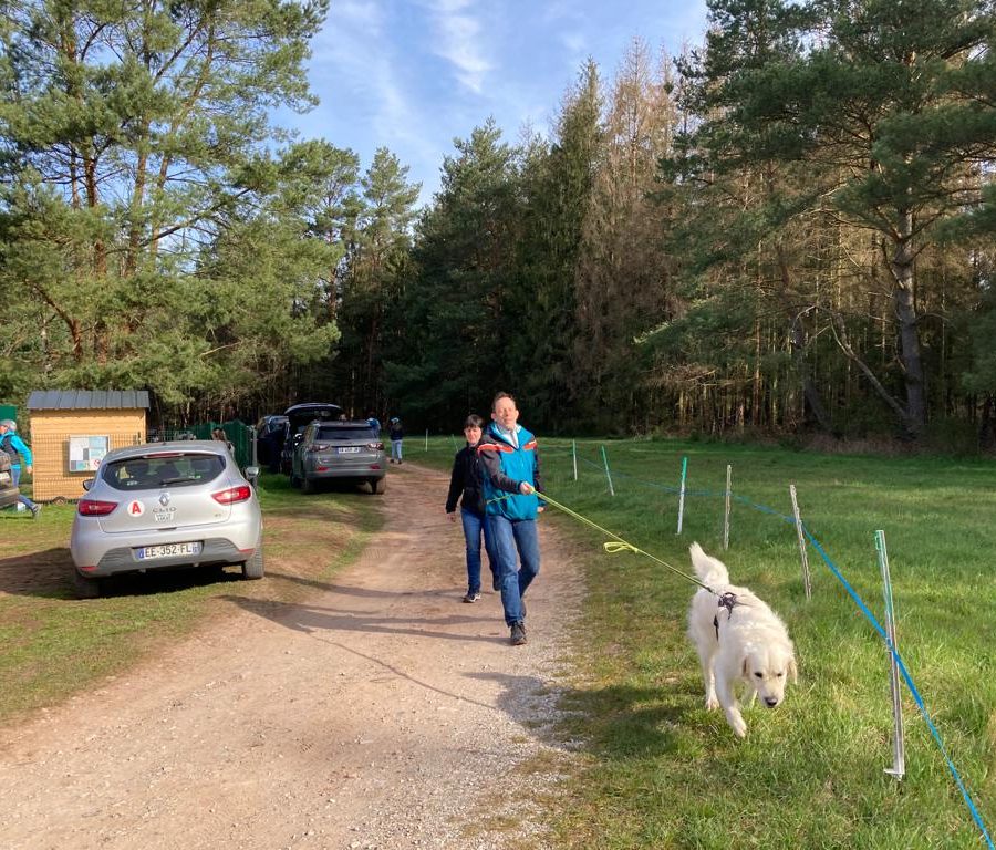 Chasse aux friandises éducation k'nine 2023