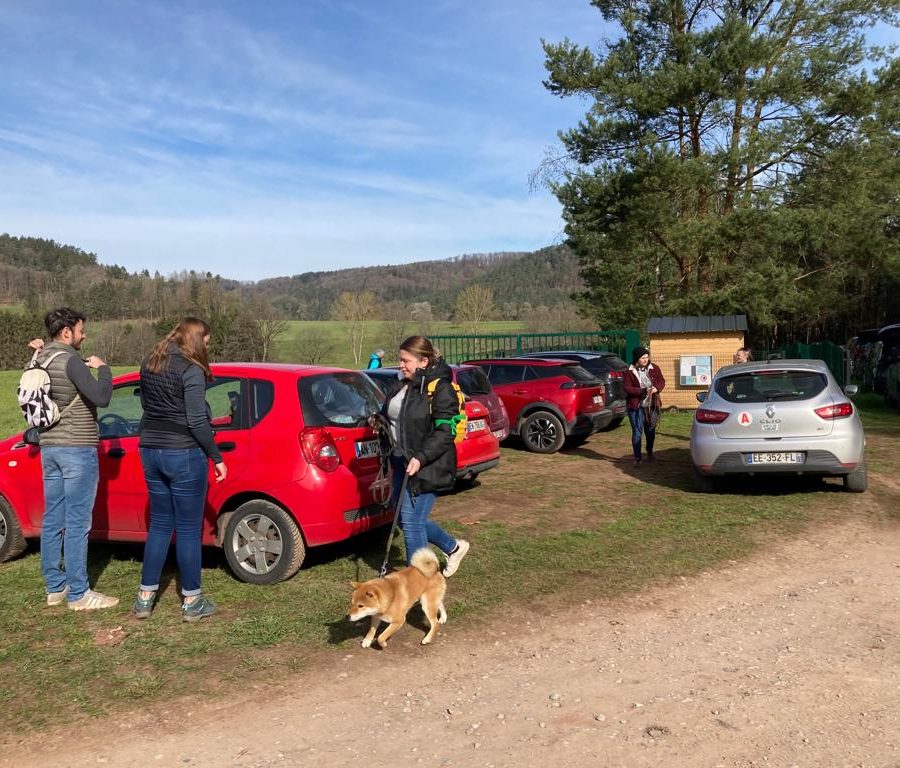 Chasse aux friandises éducation k'nine 2023