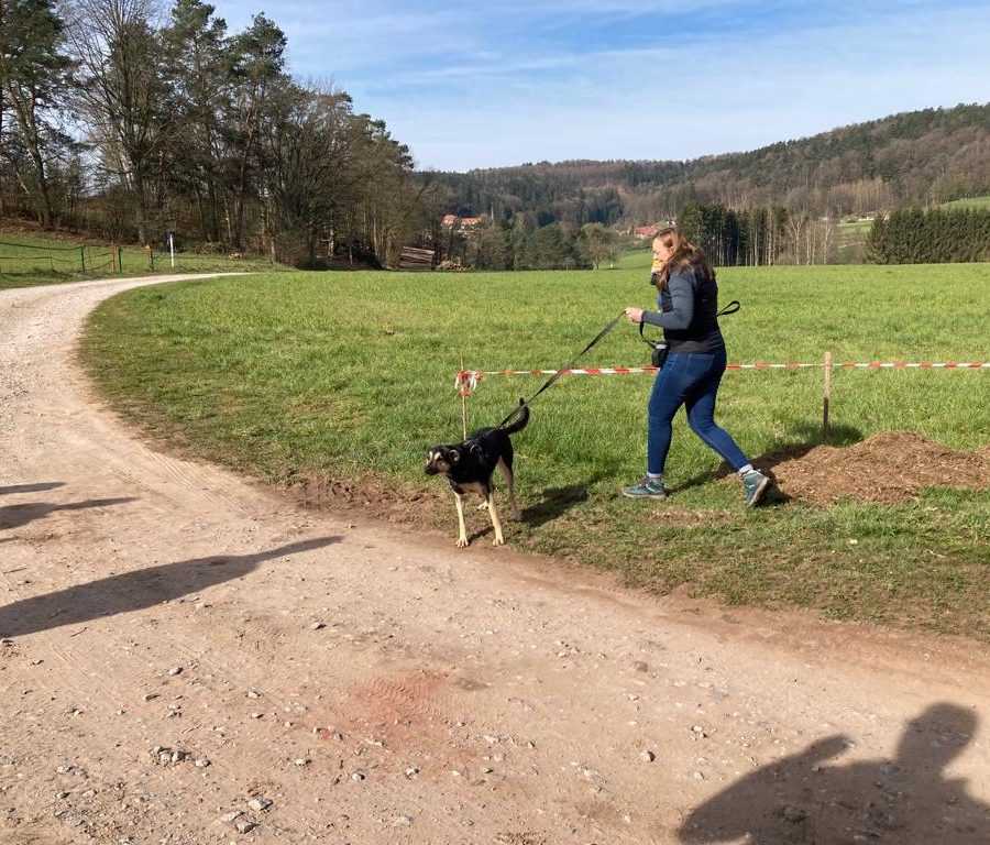 Chasse aux friandises éducation k'nine 2023