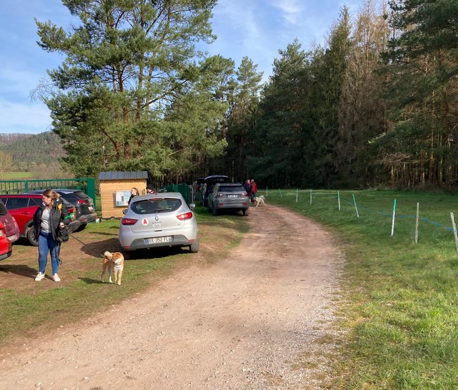 Chasse aux friandises éducation k'nine 2023