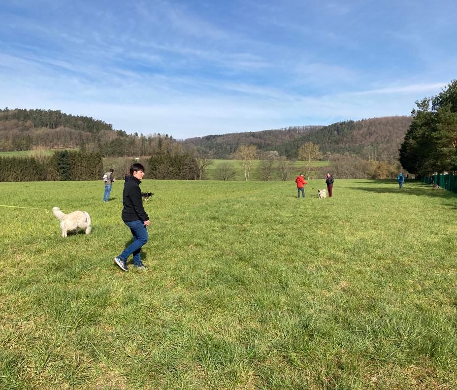 Chasse aux friandises éducation k'nine 2023