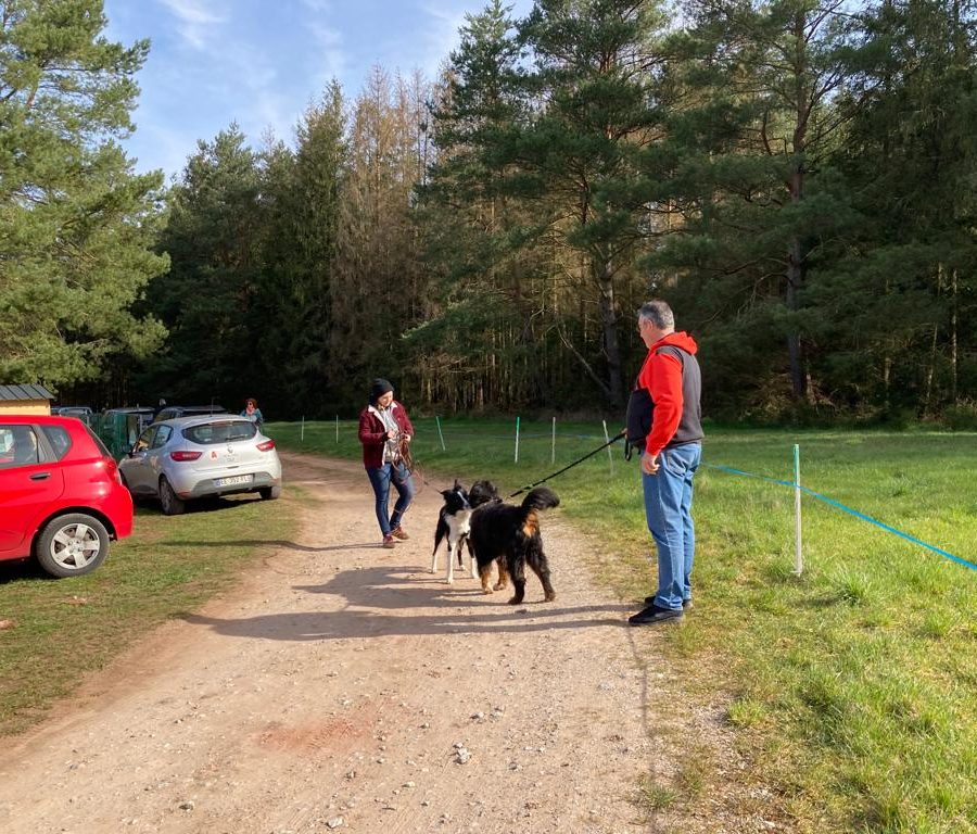 Chasse aux friandises éducation k'nine 2023