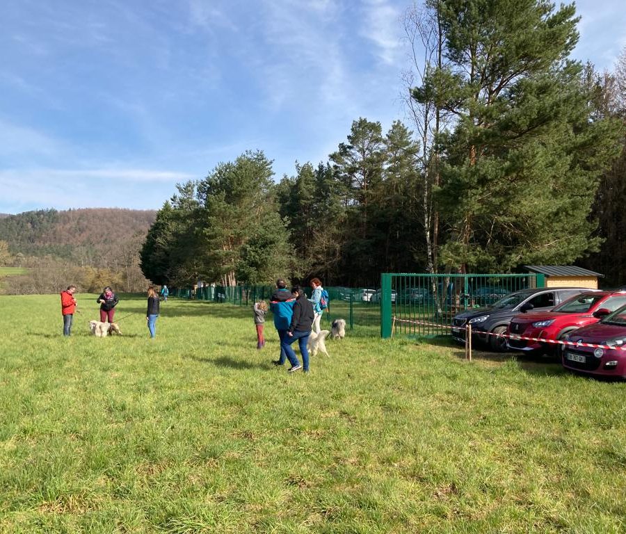 Chasse aux friandises éducation k'nine 2023