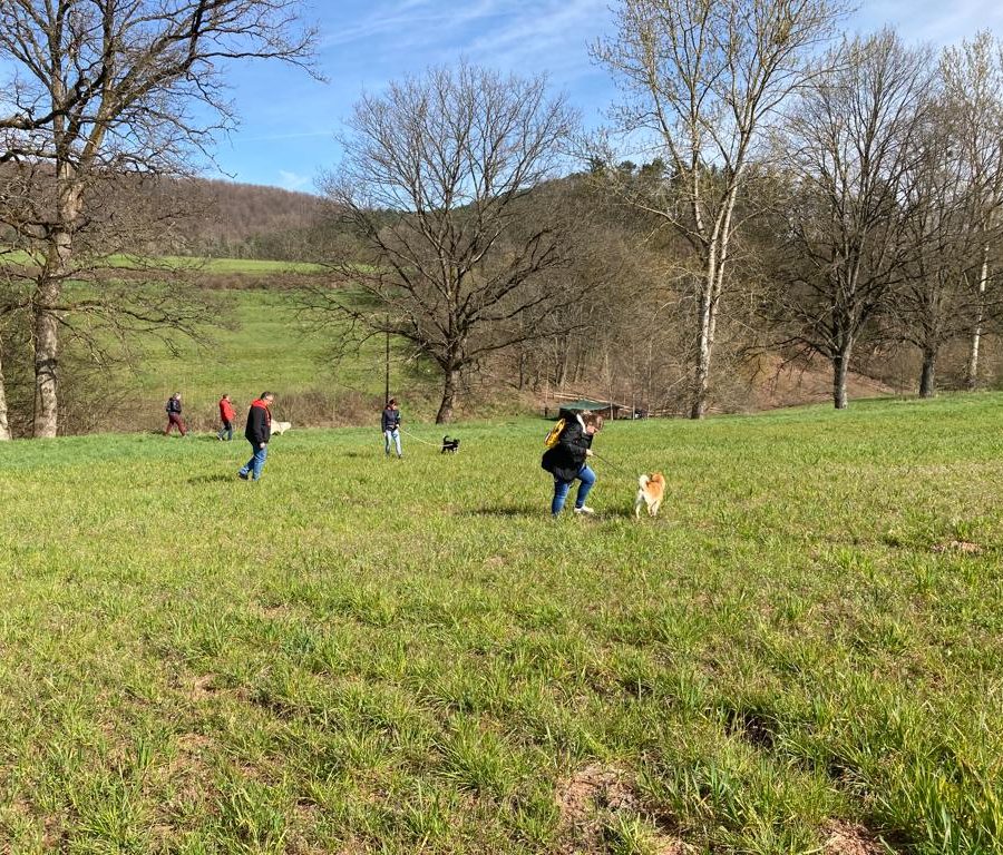 Chasse aux friandises éducation k'nine 2023