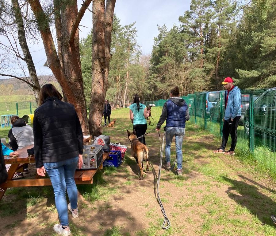 Chasse aux friandises éducation k'nine 2023