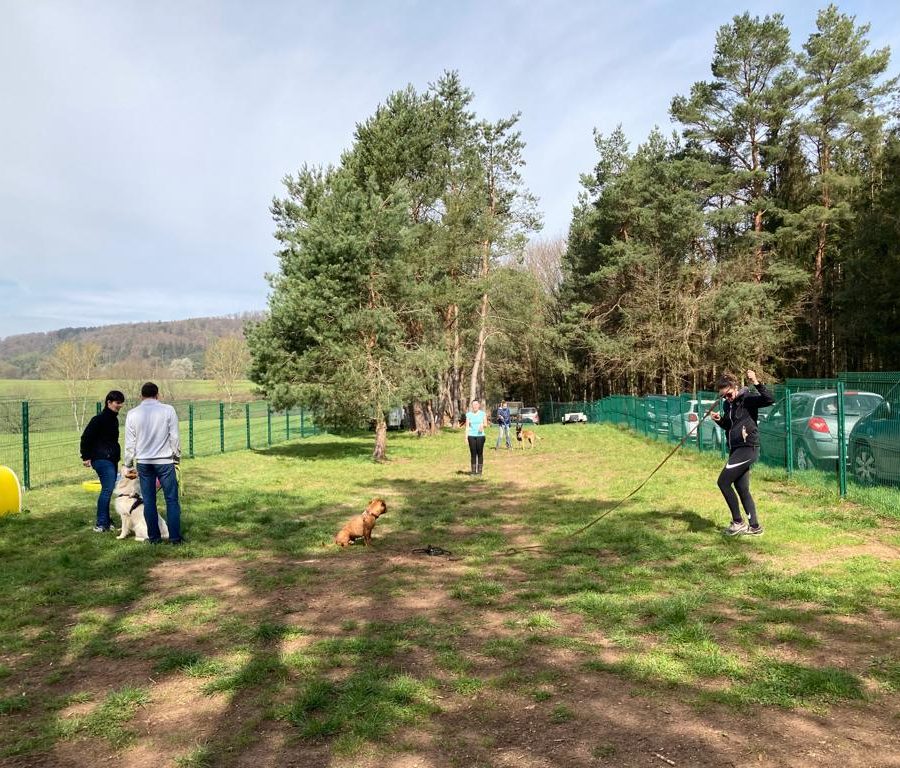 Chasse aux friandises éducation k'nine 2023