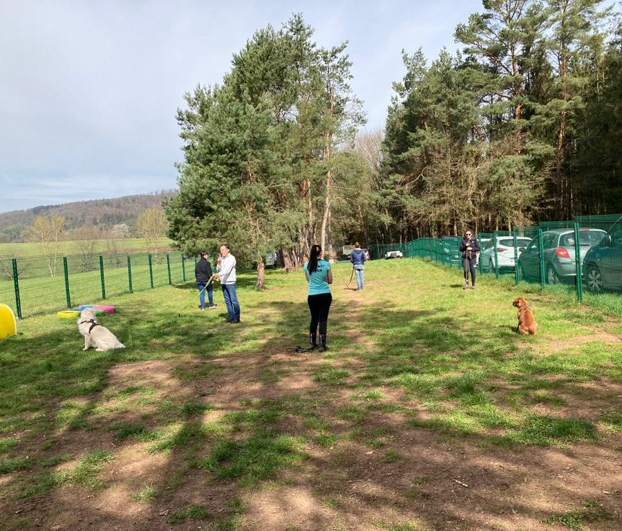 Chasse aux friandises éducation k'nine 2023