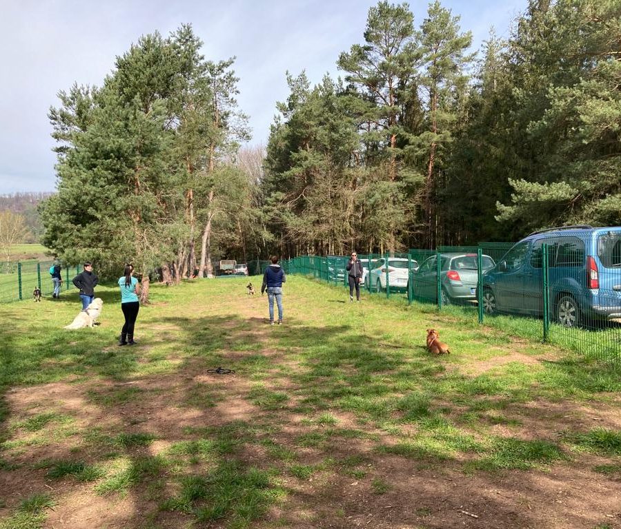 Chasse aux friandises éducation k'nine 2023