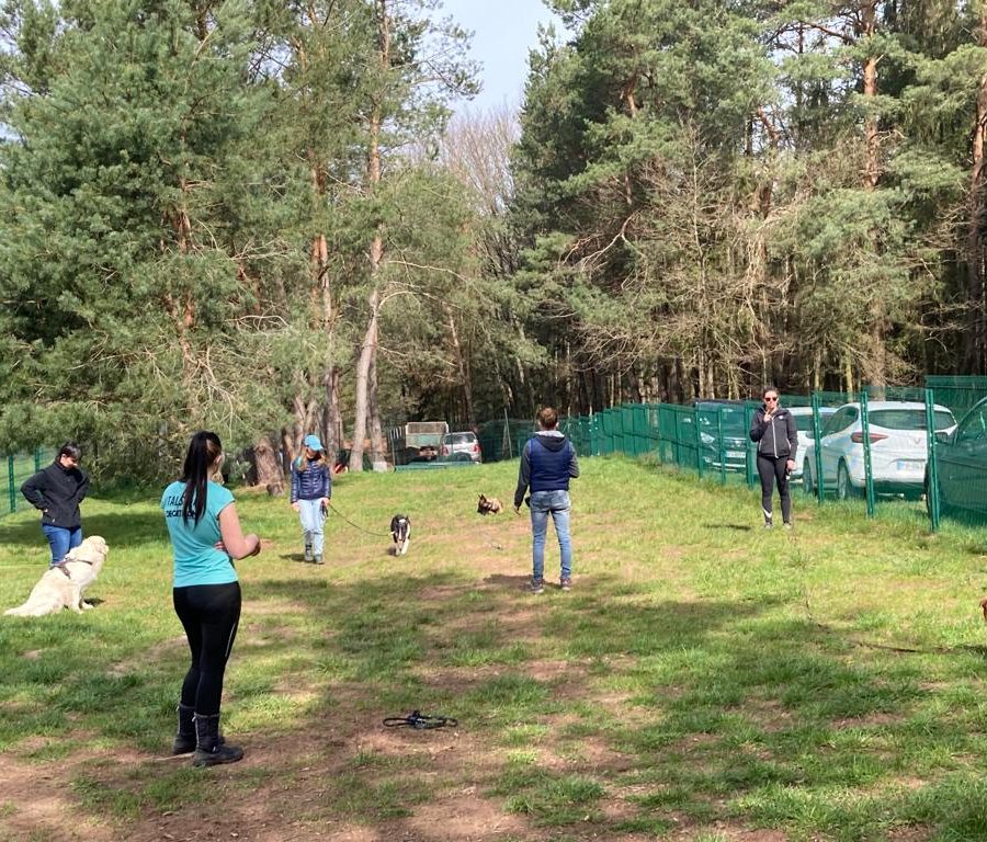 Chasse aux friandises éducation k'nine 2023