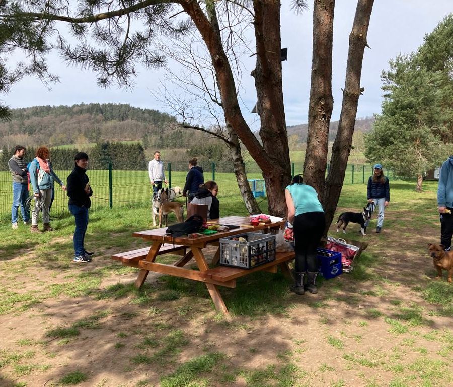 Chasse aux friandises éducation k'nine 2023