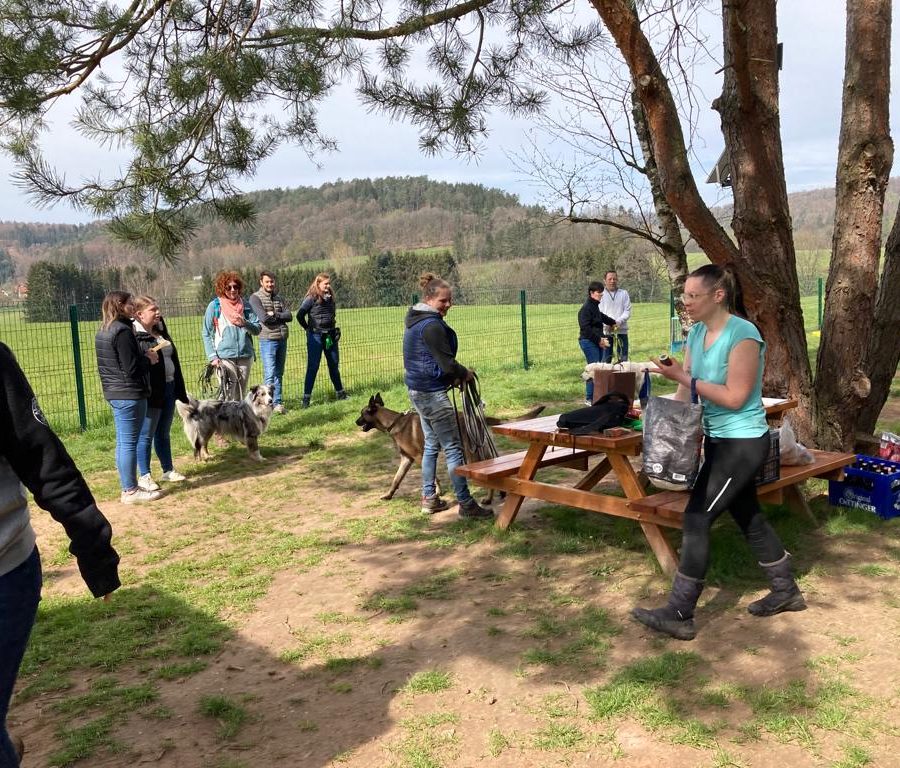 Chasse aux friandises éducation k'nine 2023