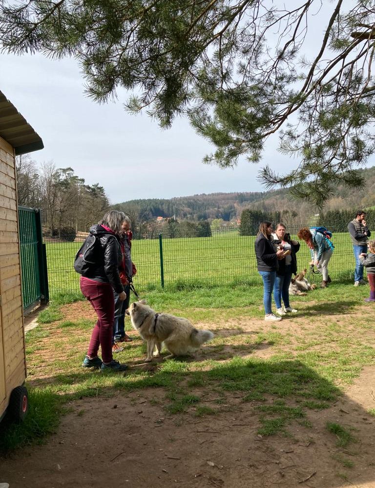 Chasse aux friandises éducation k'nine 2023