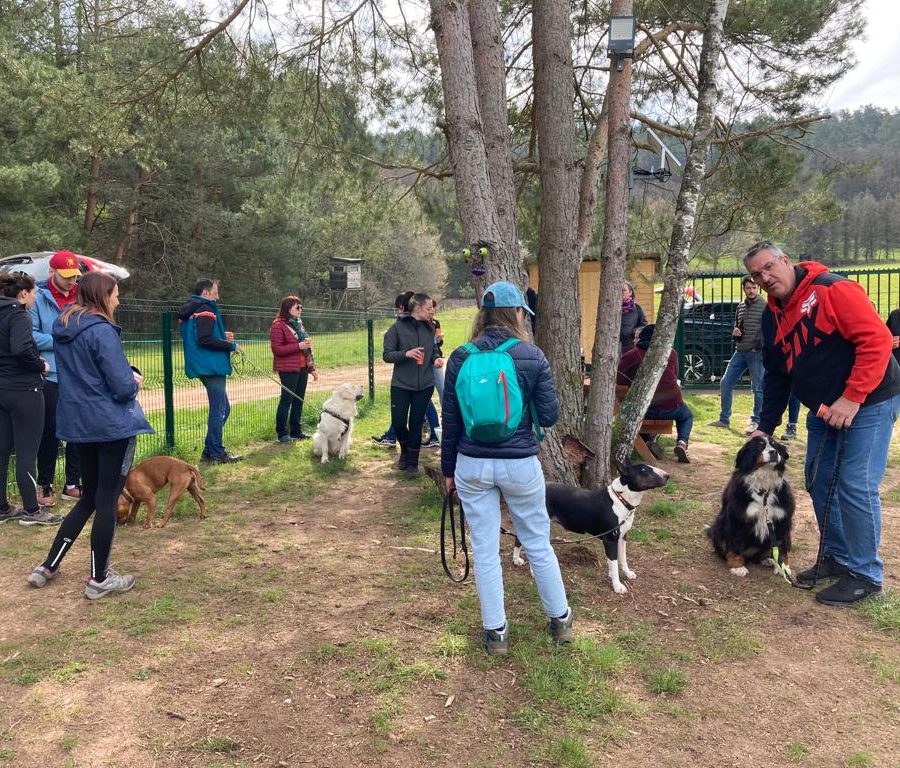 Chasse aux friandises éducation k'nine 2023