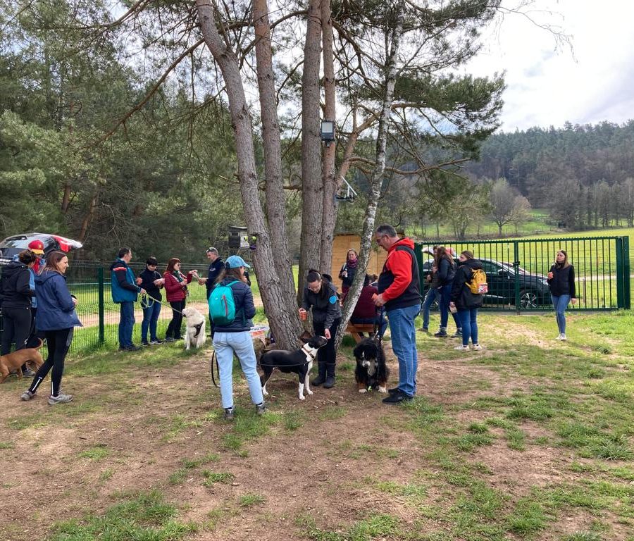 Chasse aux friandises éducation k'nine 2023