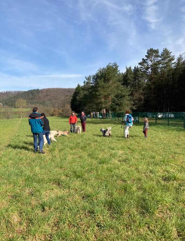 Chasse aux friandises éducation k'nine 2023