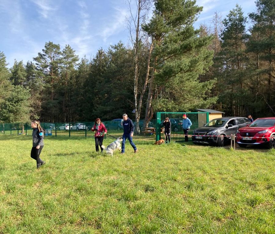 Chasse aux friandises éducation k'nine 2023