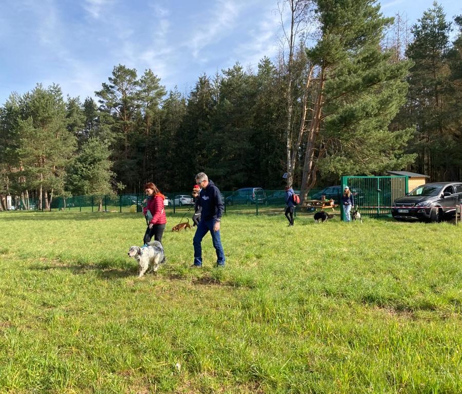 Chasse aux friandises éducation k'nine 2023