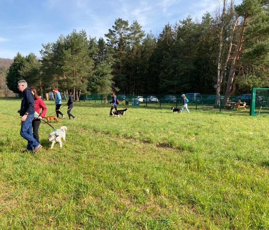 Chasse aux friandises éducation k'nine 2023