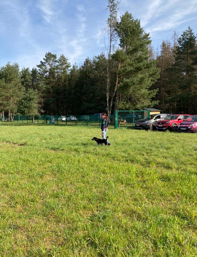 Chasse aux friandises éducation k'nine 2023