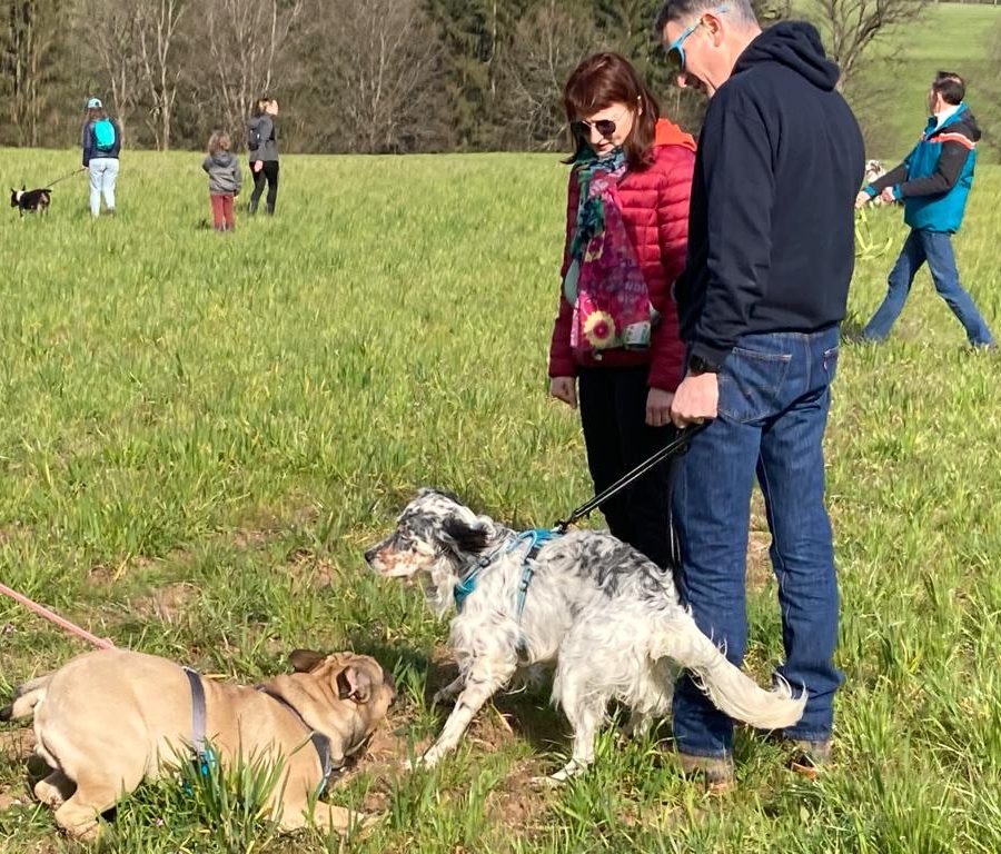 Chasse aux friandises éducation k'nine 2023