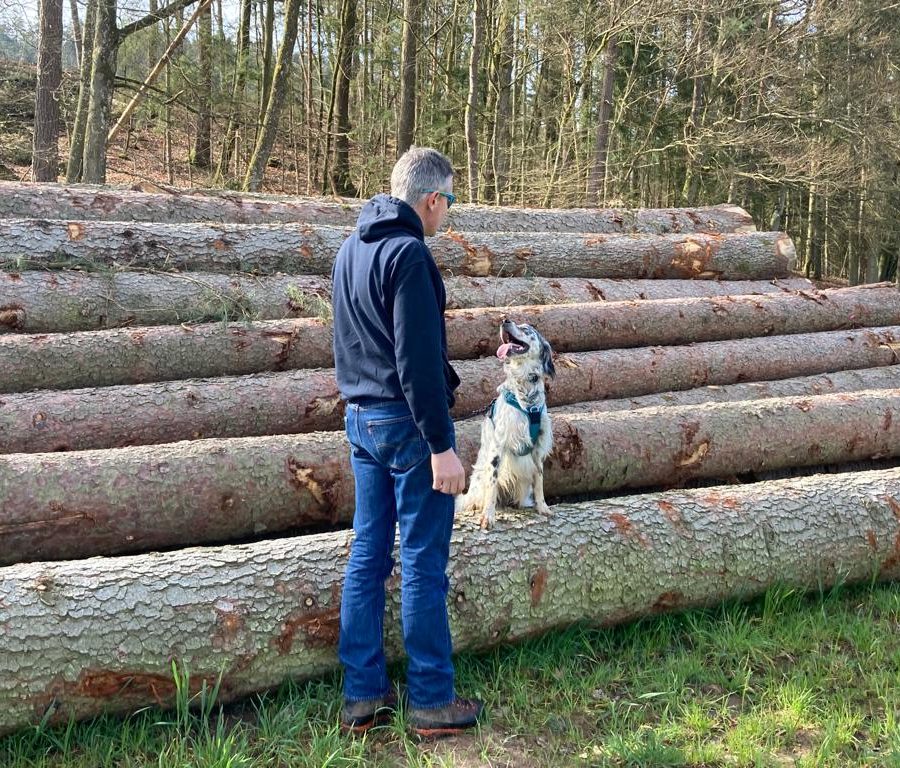 Chasse aux friandises éducation k'nine 2023