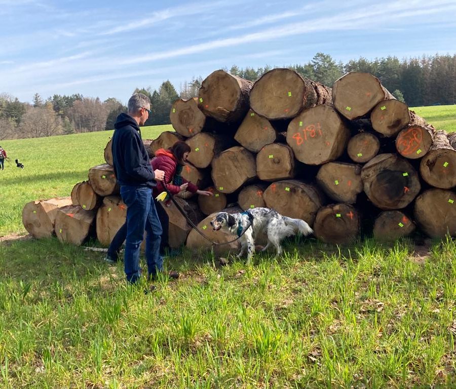 Chasse aux friandises éducation k'nine 2023