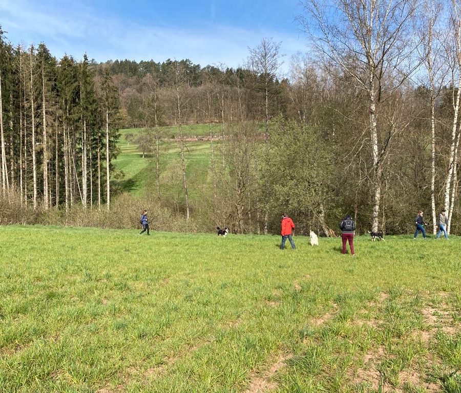 Chasse aux friandises éducation k'nine 2023