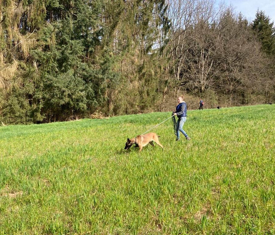 Chasse aux friandises éducation k'nine 2023