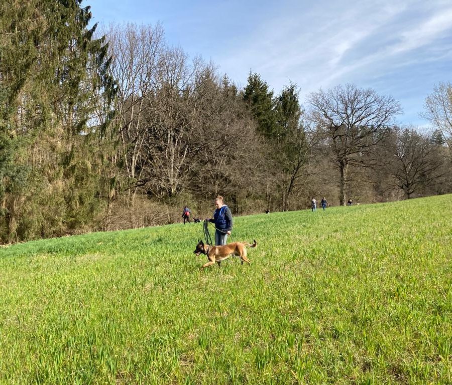 Chasse aux friandises éducation k'nine 2023