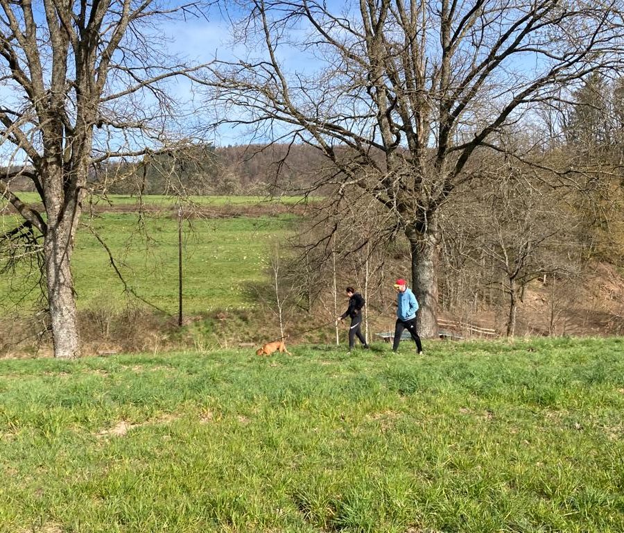 Chasse aux friandises éducation k'nine 2023