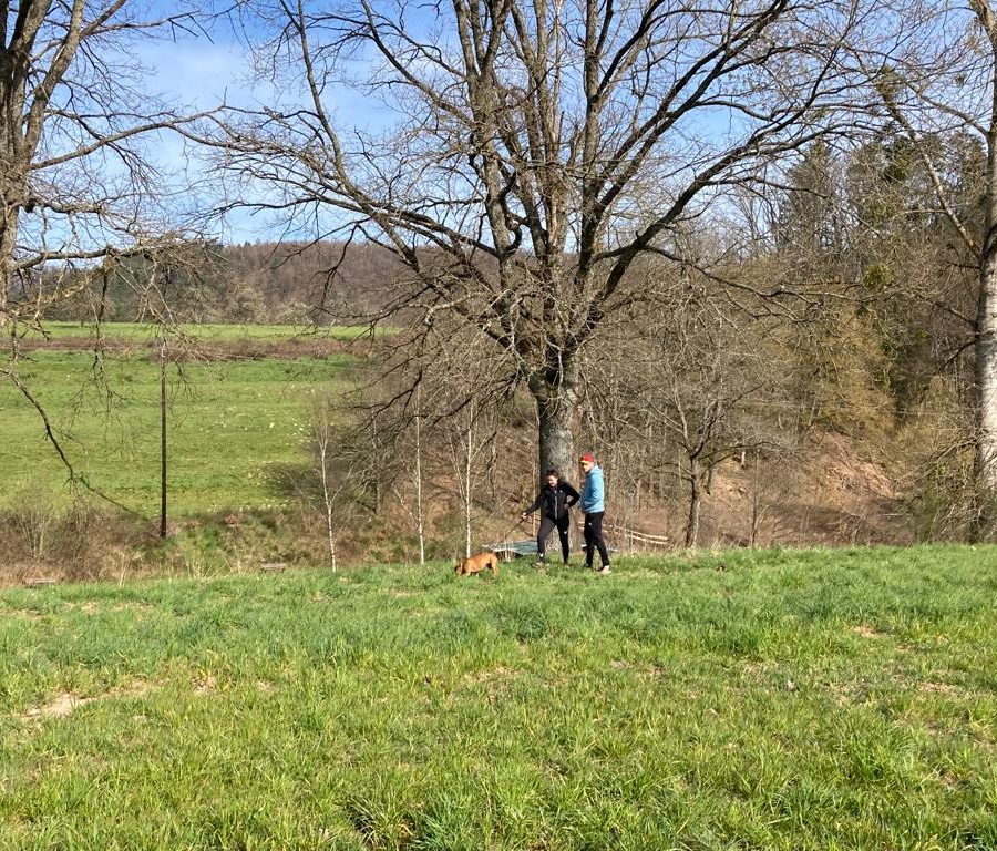 Chasse aux friandises éducation k'nine 2023