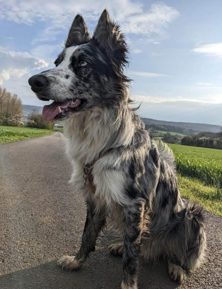 WhatsApp Image 2023-05-05 à 15.57.32